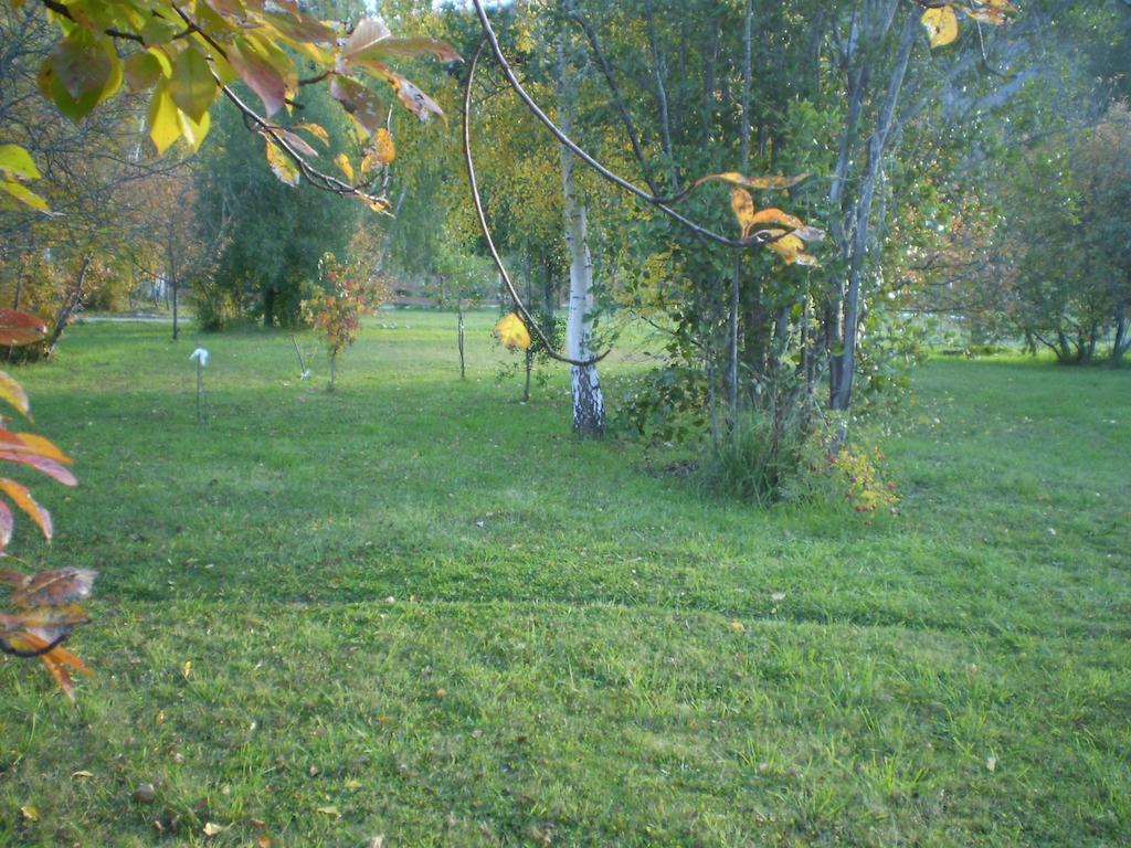 Cabanas Hueney Лаго Пуело Екстериор снимка